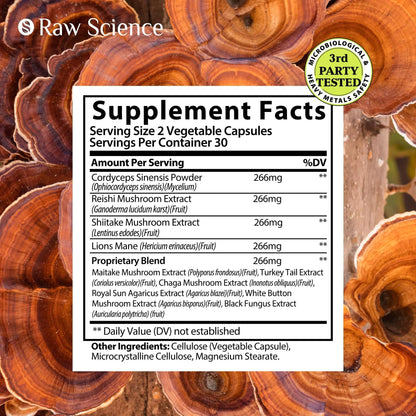 Lions Mane Supplement Capsules