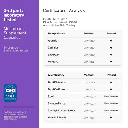 Lions Mane Supplement Capsules